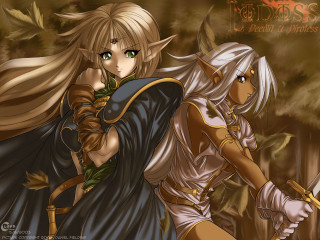 Armor swords forest fire elf - two woman free wallpaper