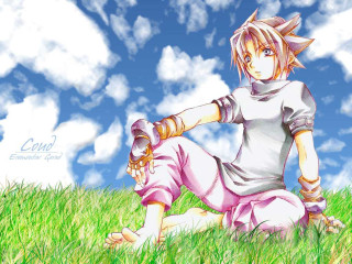 Anime boy sitting grass sword - his hand and a sky background free wallpaper