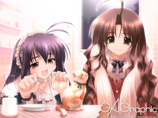 Anime girls pig milk aya - a table free wallpaper for desktop