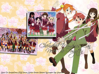 Anime couple floral hanami school - a picture of them free wallpaper