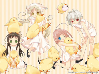 Girls yellow chicks white dress - a white dress holding free wallpaper