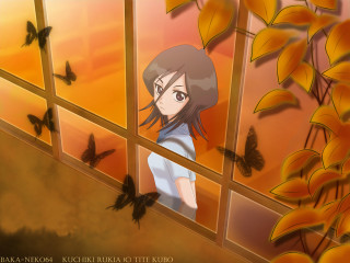 Girl butterflies window autumn yellow - a yellow sky free wallpaper