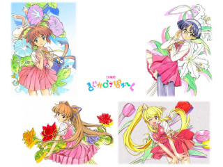 Anime flowers cat girls dress - three anime character free wallpaper for desktop