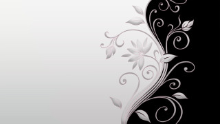 Black white floral background swirl - a white flower free wallpaper