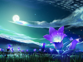 Flower field fullmoon blue sky - dreamlike free wallpaper