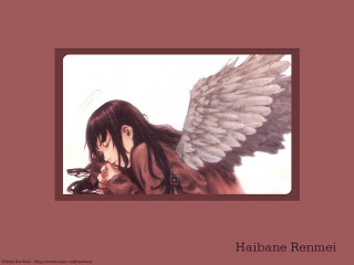 Habanne remei angel wings album - album cover free wallpaper