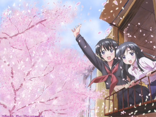 Balcony cherry blossoms anime girls - cherry blossom free wallpaper