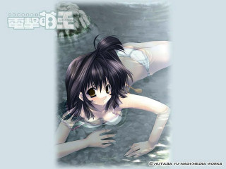 Woman black and white skirt - a white top free wallpaper