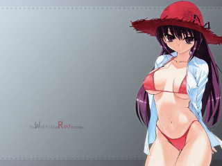 Red hat bikini woman gray - widescreen free wallpaper