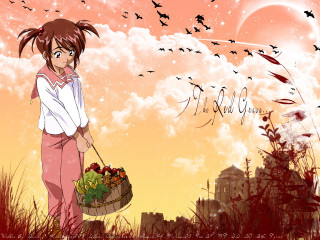 Girl basket fruit field birds - a girl holding free wallpaper