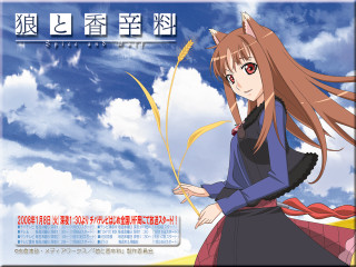 Anime wolf girl archer blue - a bow and arrow free wallpaper for desktop