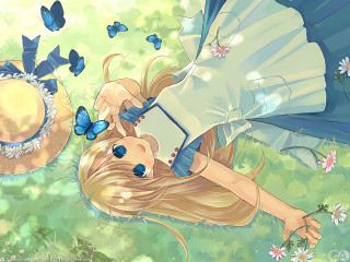 Flower field butterfly girl umbrella - anime art free wallpaper for desktop