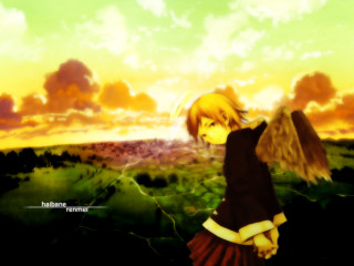 Girl bird field sunset anime - rayonism free wallpaper for desktop