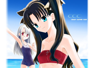 Beach bikini anime 2girls saber - the beach free wallpaper for desktop