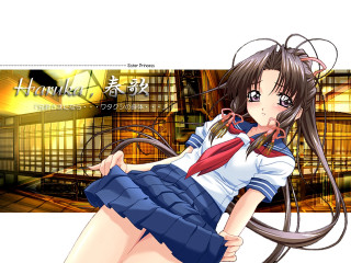 Honkoko eizan kikukawa maya raphael - a short skirt free wallpaper