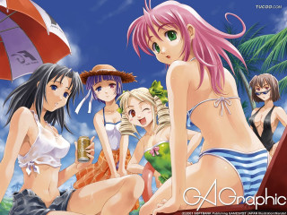 Beach girls umbrella bikini alcohol - bikinis free wallpaper