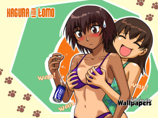 Furry bikini beer groping yuri - bathing free wallpaper