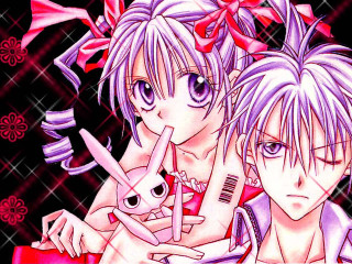 Pink hair bunny knife comb - their head free wallpaper for desktop