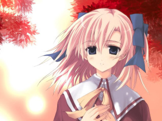 Pink hair bow autumn tree - red leaf free wallpaper for desktop