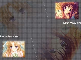 Anime characters group multicolored expressions - different expression free wallpaper for desktop