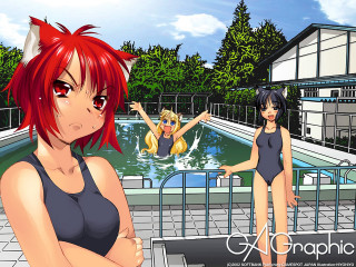 Cartoon women pool cat ears - a pool free wallpaper