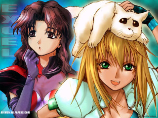 Anime cats on head two - cat free wallpaper