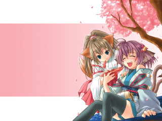 Two anime girls bench cat - their shoulder free wallpaper