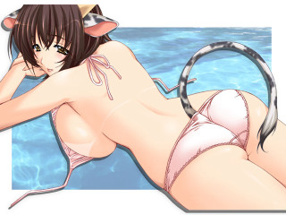 Cartoon woman bikini cat ears - a cat ear free wallpaper