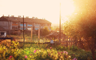 Fence building rural flowers foreground - a fence and a building free wallpaper