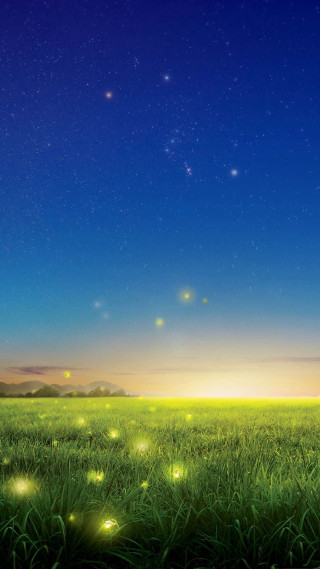 Field grass fireflies night sky - chiho aoshima free wallpaper