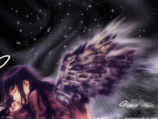 Angel wings starry sky christmas - star and a star free wallpaper