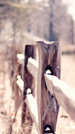 Wooden fence hole grass field - grass and trees free wallpaper for mobile
