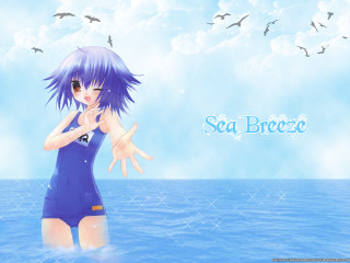 Girl blue swimsuit water birds - above her free wallpaper