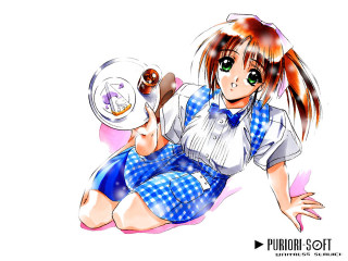 Girl food hat blue apron - a plate of food free wallpaper