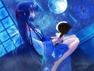Moonlight kimono cat night sky - her lap free wallpaper