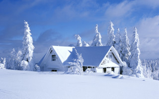 House snowy field trees background - free winter wallpaper