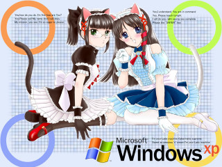 Anime girls cat fence tennis - a computer screen free wallpaper for desktop
