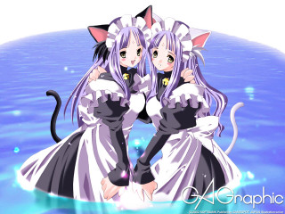 Anime girls cat costumes water - their shoulder free wallpaper for desktop