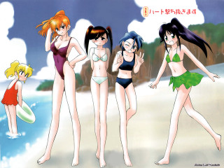 Beach girls surfboard cartoon anime - suit free wallpaper for desktop