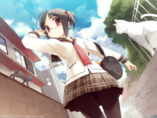 Girl school uniform cat outdoors - a street free wallpaper for desktop