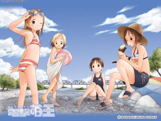 Beach girls dog cat bridge - a bridge in the background free wallpaper