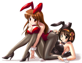 Anime girls bunny ears furry - the ground together free wallpaper