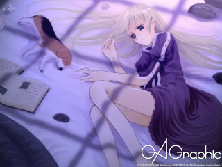 Alice prin girl bed cat - the floor free wallpaper for desktop