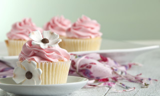 Cupcakes on plate with flower - a plate free wallpaper