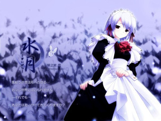 Woman white dress snow field - field free wallpaper