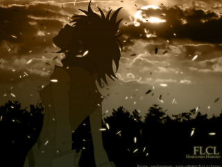 Silhouette sunset birds clouds ufotable - a sun in the distance free wallpaper