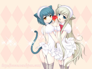 Anime girls hugging cat argyle - their shoulder free wallpaper