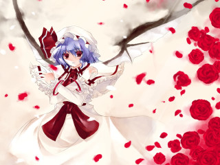 Anime girl blue hair white 8 - red rose free wallpaper