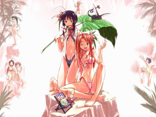 Two women bikinis rock plant - their hand and a man free wallpaper