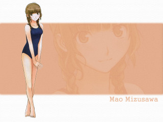 Girl swimsuit smile brownhair braided - her face free wallpaper for desktop